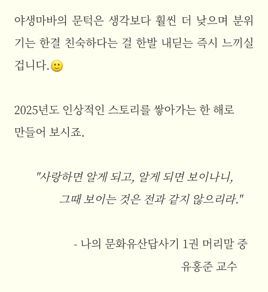야생마바 사진 4