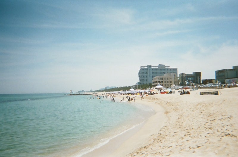 토이카메라(필름) 추천/필름교체하는 법/필름사진 찍는 꿀팁/코닥 ULTRA F9 ️