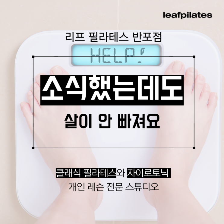  [반포 필라테스] 적게 먹었는데도 살이 안 빠져요/ 반포필라테스 리프