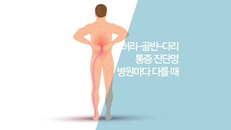  인천허리잘보는병원-오른쪽 왼쪽 허리 골반 다리 통증 병원마다 진단명 다른 이유 by 로컬 의원