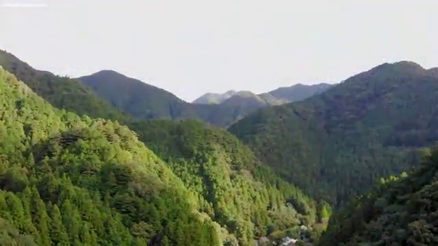 미술심리상담사1급교육 , 미술심리상담지도사 1달 만에 취득한 방법 보고가세요