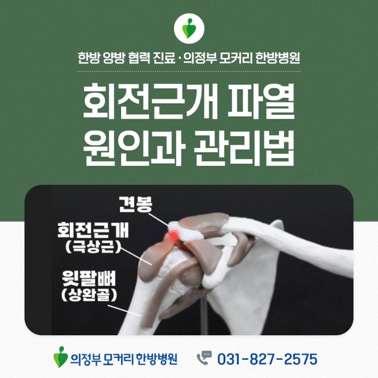  어깨 통증, 회전근개 파열 원인과 관리법