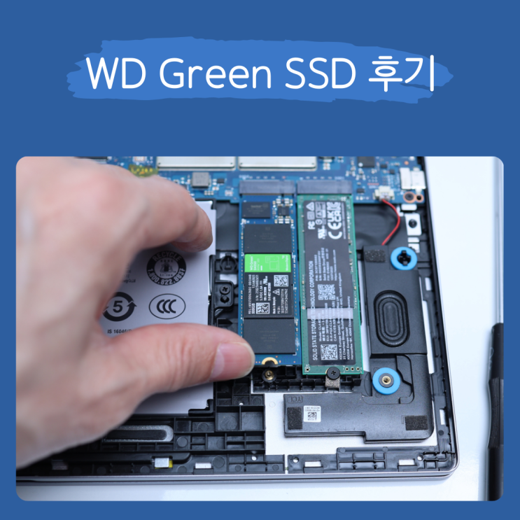  웨스턴디지털 WD Green SN350 500GB NVMe SSD 후기