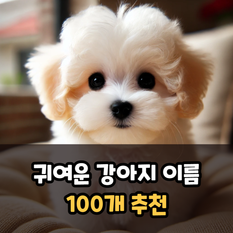  귀여운 강아지 이름 100개 추천