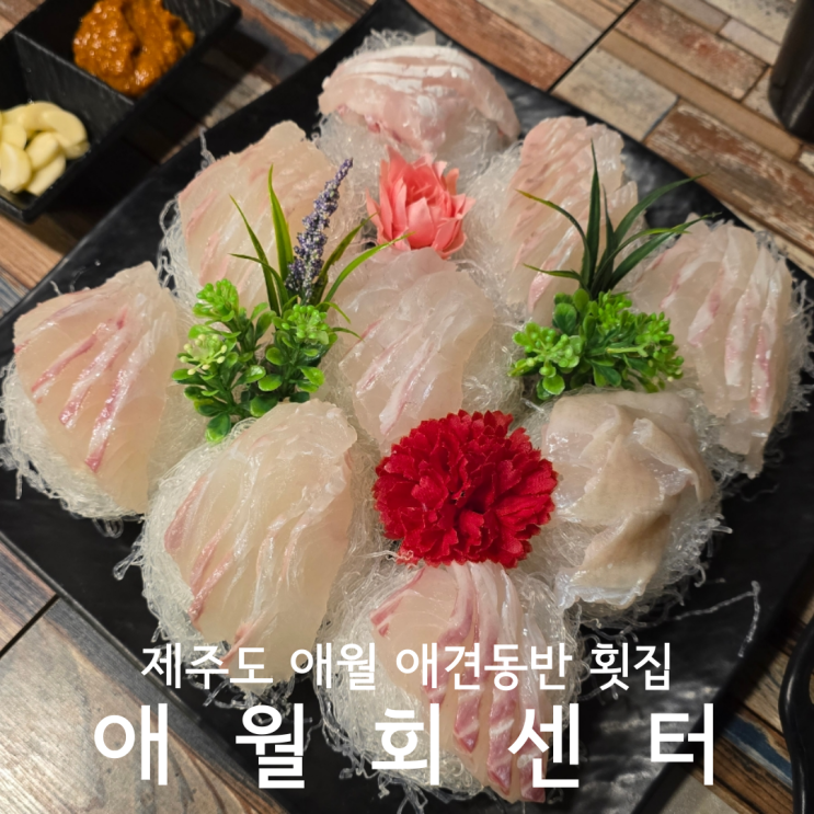  제주도 오션뷰 횟집 애견동반식당 애월회센터 2인코스 내돈내산 후기