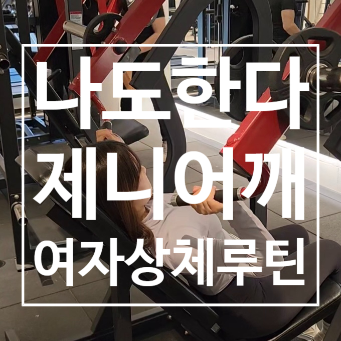  [탄현헬스장]상체 운동 하는 날은 이렇게 한 번 해보세요!! 여자 상체운동 루틴 레디바디 탄현점 PT