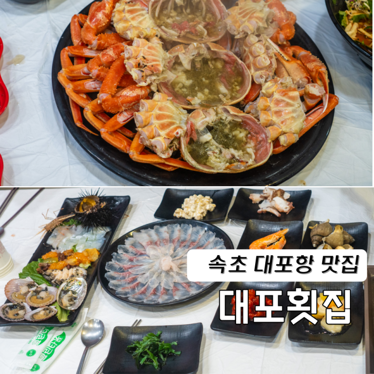  속초 대포항 맛집 대포횟집 대게세트