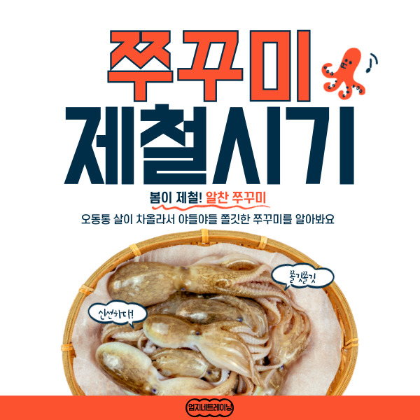  쭈꾸미 제철시기와 최적의 시기인 이유