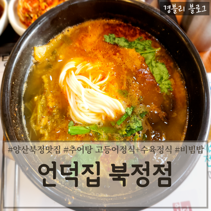  양산추어탕맛집 걸쭉한추어탕추천 양산북정동밥집 '언덕집 북정점'