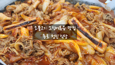  [서울 종로 맛집] 청진 식당 - 불고기와 오징어볶음 환상의 콜라보 추천