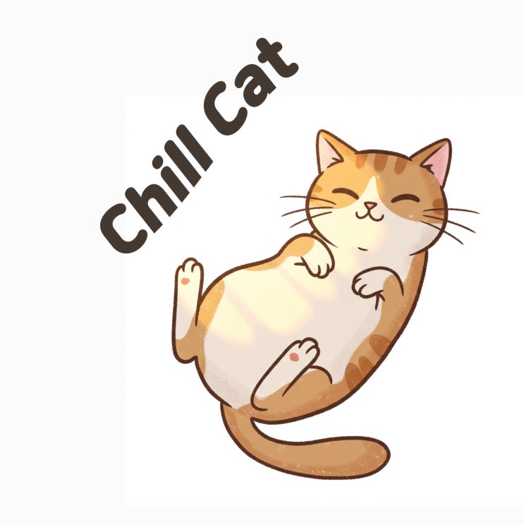  CHILL한 우리집 고양이 일상 chill이 뭔데