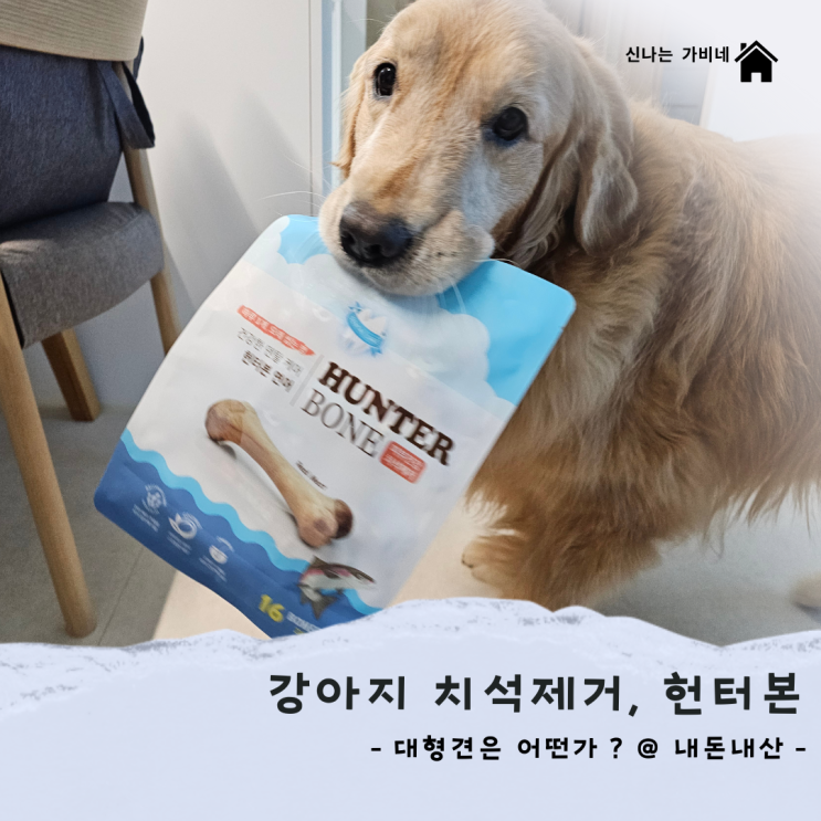 헌터본, 강아지 치석제거기...대형견도 굿~! 내돈내산~!!