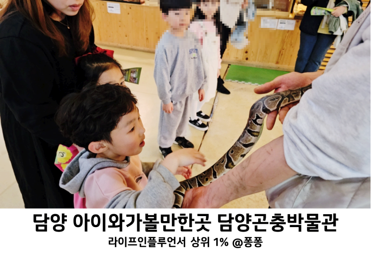  전남 담양 여행코스 실내 놀이터 아이와 가볼만한곳 추천 담양곤충박물관 입장료 할인