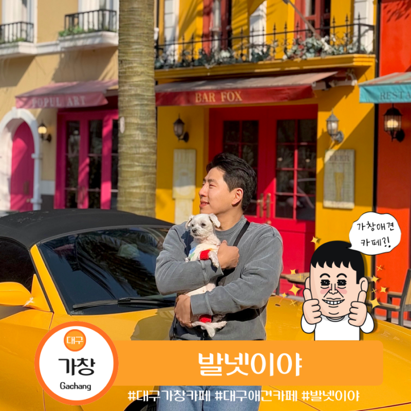 사진 3