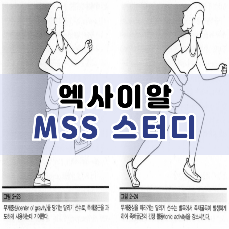  엑사이알 MSS 스터디 : 동원 패턴의 변화, 협력근 우세 패턴