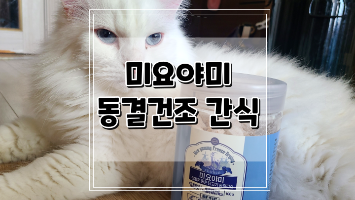  레옹펫 미요야미 동결건조 고양이 닭가슴살 간식 기호성 최고예요