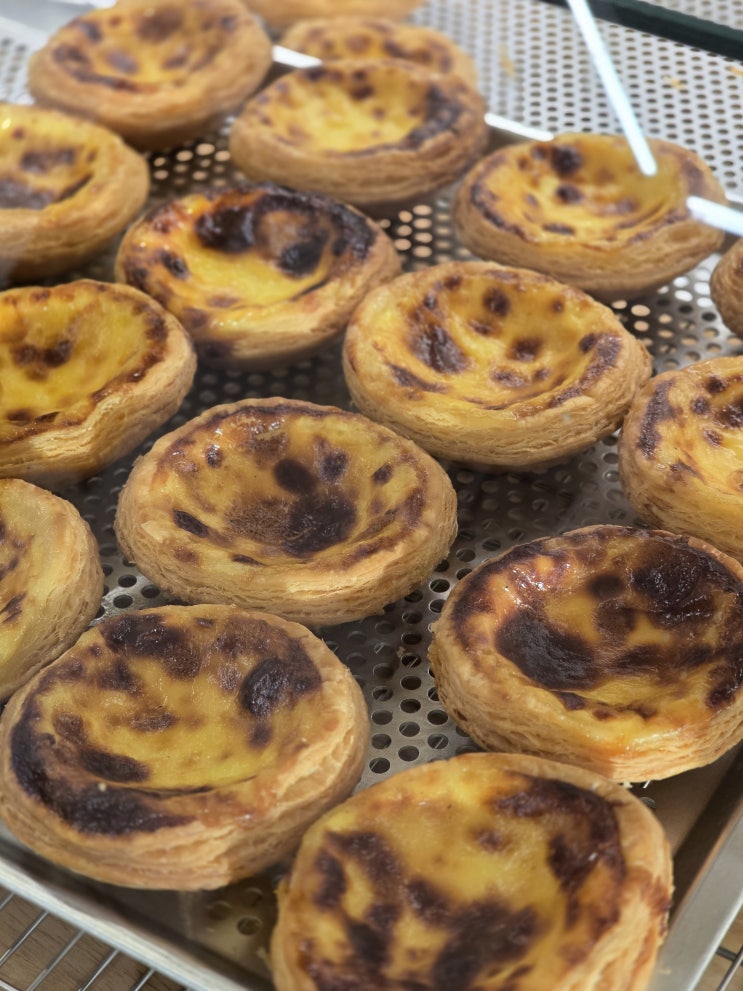  [전남/창평] 인생 에그타르트 맛집_에그583