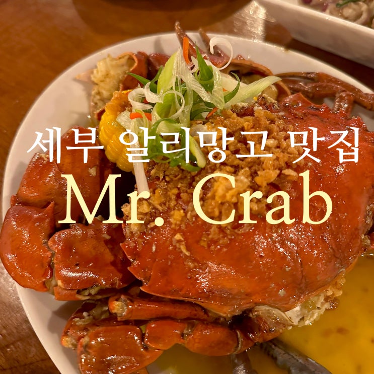 세부 여행 분위기 좋은 알리망고 맛집 Mr. Crab 미스터크랩