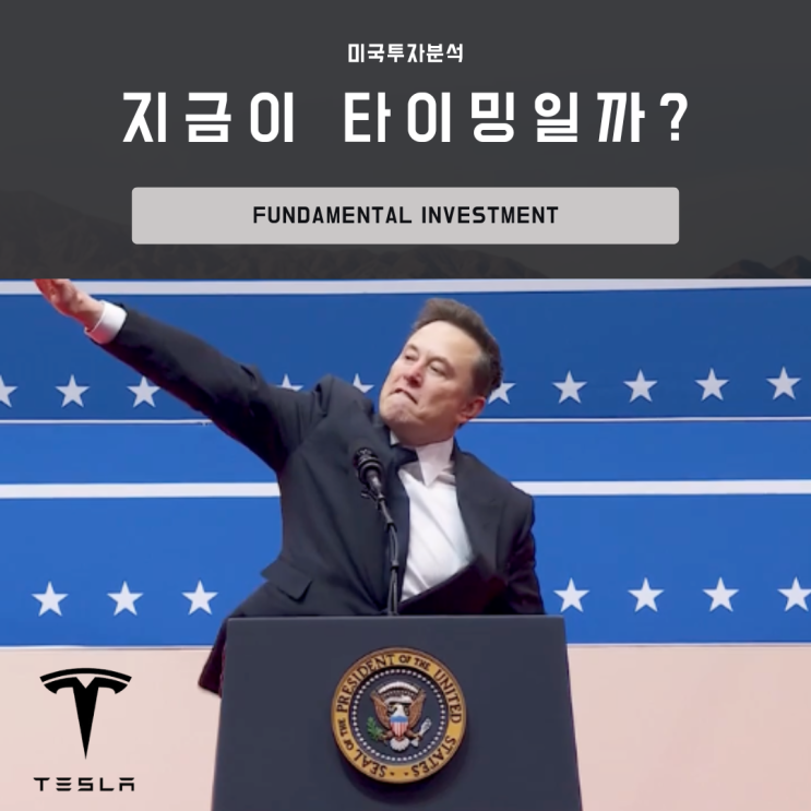 <b>테슬라 주가 폭락</b>! 지금이 타이밍일까? <b>머스크</b>의 워싱턴... 