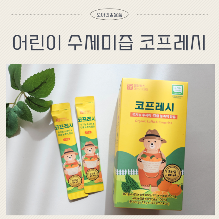  장인정신 에브리데이 코프레시 어린이 수세미즙