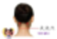 풍지혈 위치 효능 경락 지압 통증 파악해요! : 네이버 블로그