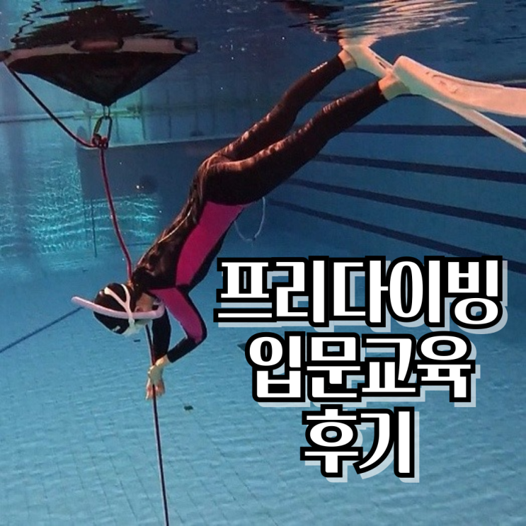  서울, 수원 아틀란티스 프리다이빙강습 입문교육 후기