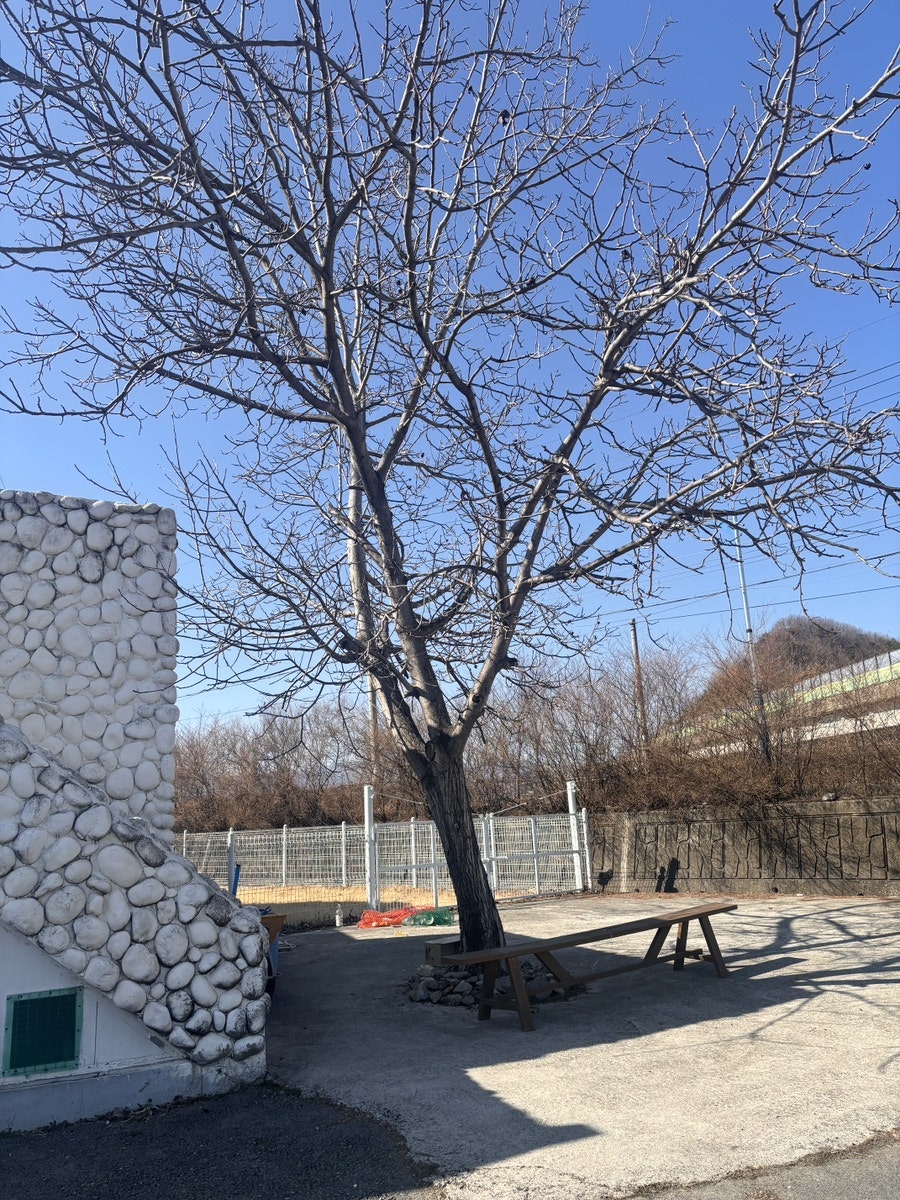 플레이그라운독 사진 5