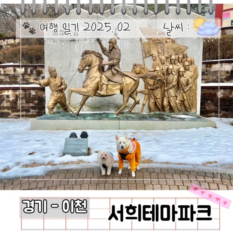 사진 9