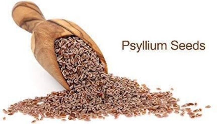 (인디샘 컨설팅) 인도에서 차전자피를 나타내는 용어 Psyllium, Psyllium Seed, Psyllium Husk의 차이 (1/6) (인디샘 컨설팅) 인도에서 차전자피를 나타내는 용어 Psyllium, Psyllium Seed, Psyllium Husk의 차이 (1/6)