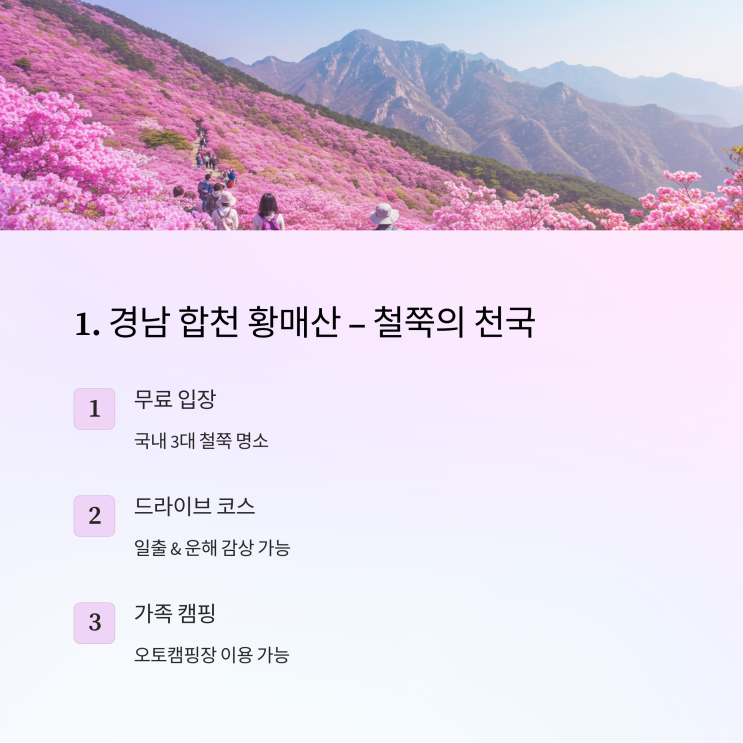  가성비 좋은 국내 가족 여행지! 2025년 봄 시즌 추천 명소