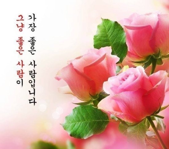 ️ 누가 묻거든...