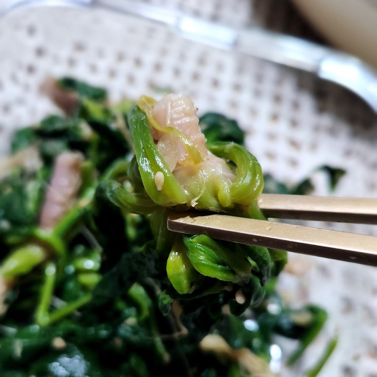  시금치의 효능과 섭취 시 주의할 점. 그리고 겨울에 단맛이 강한 이유