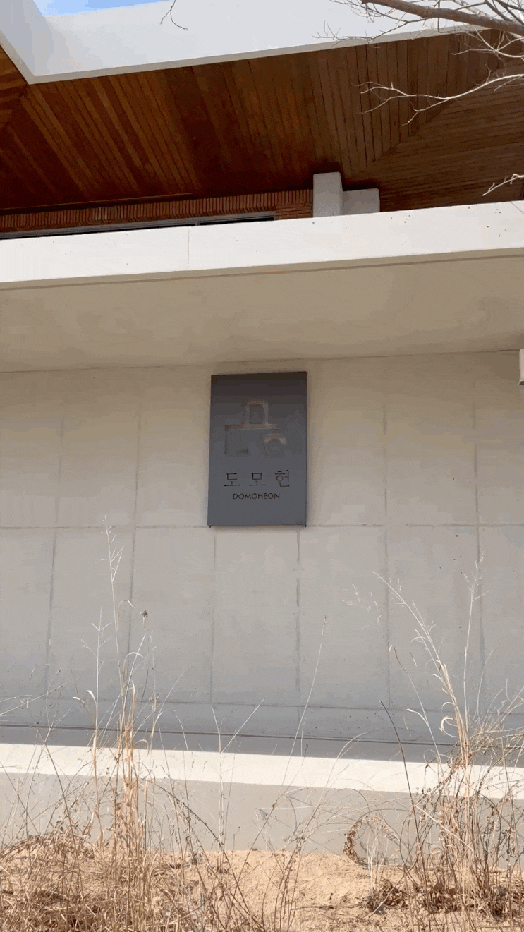  내돈내산 부산 카페 추천 바리스타 챔피언  “모모스커피 도모헌점”