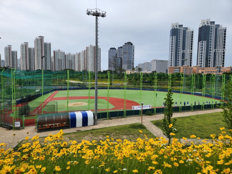  세종시리틀야구단 초등학생 어린이 야구학원 세종 아이와 가볼만한곳