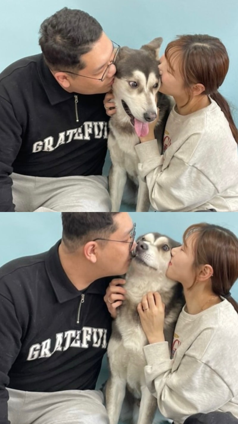 사진 4