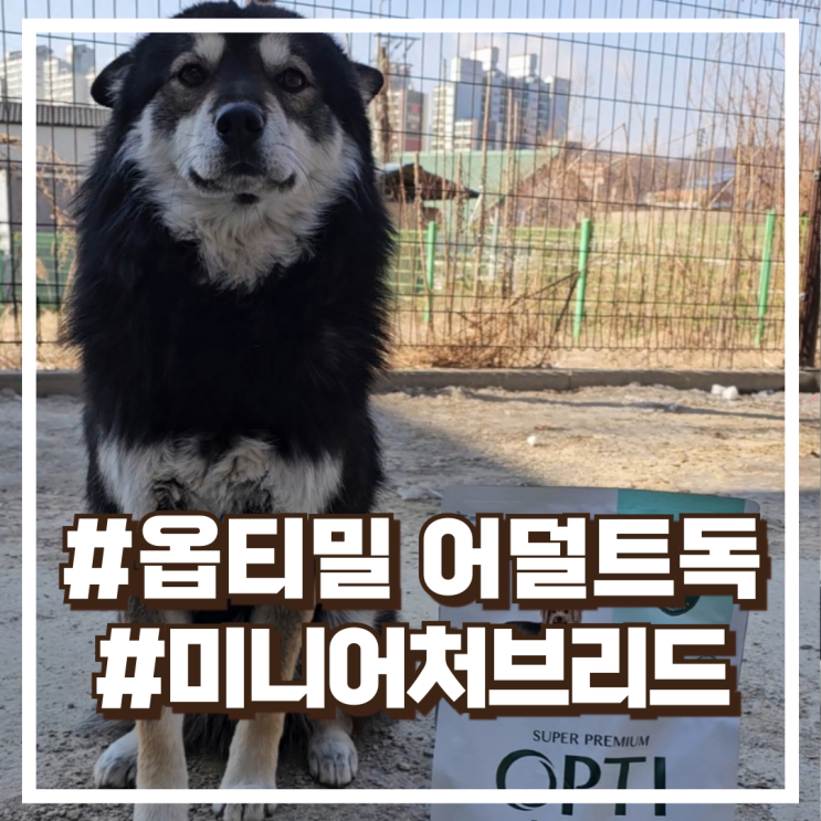  옵티밀 가수분해 강아지사료 어덜트독 미니어처브리드 1.5kg