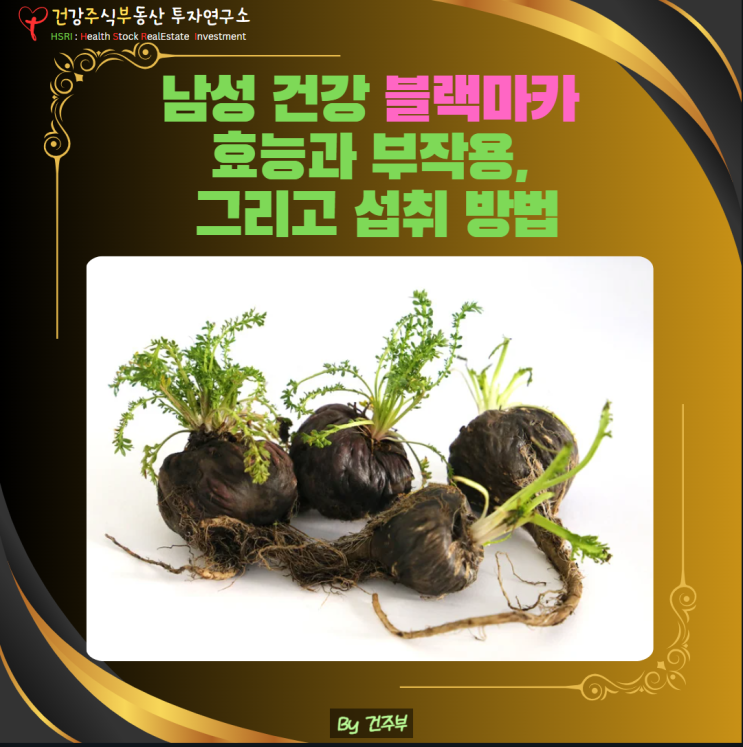  남성 건강에 좋은 블랙 마카 효능과 부작용 그리고 섭취 방법