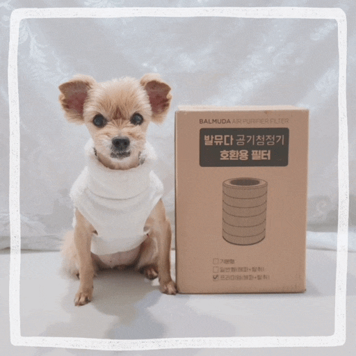  펫 공기청정기 추천 발뮤다 에어엔진 호환필터 후기