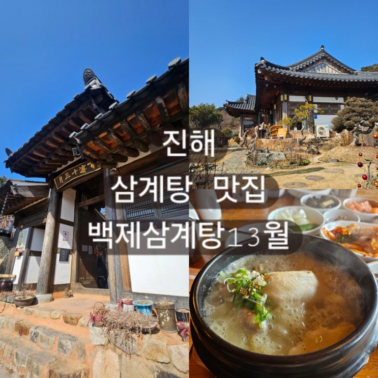  창원 진해 삼계탕 맛집 백제삼계탕13월 월몽Pick