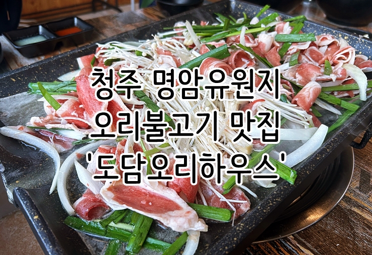  청주 용담동 명암유원지 명암저수지 오리불고기 맛집 '도담오리하우스'