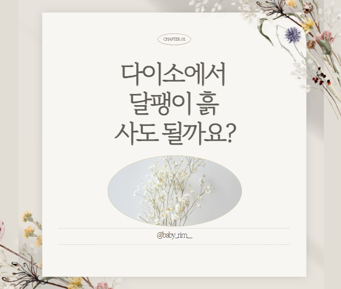 달팽이 키우기 다이소에서 사도 괜찮을까? 제품 특성과 장점