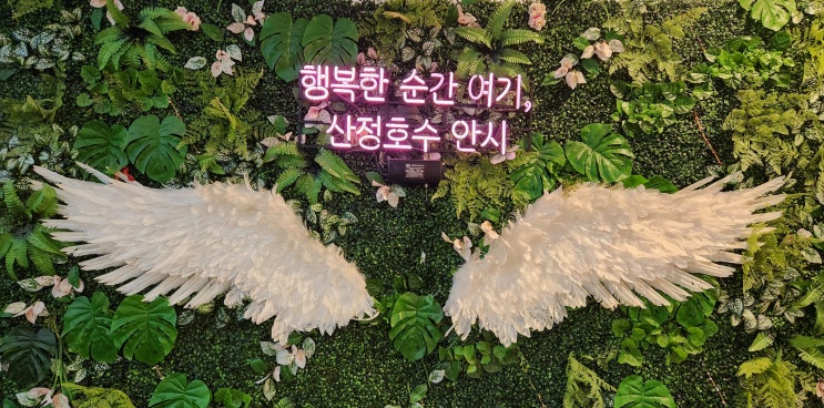  포천 한화리조트 산정호수 안시 솔직후기, 온천 사우나까지 완벽한 힐링여행