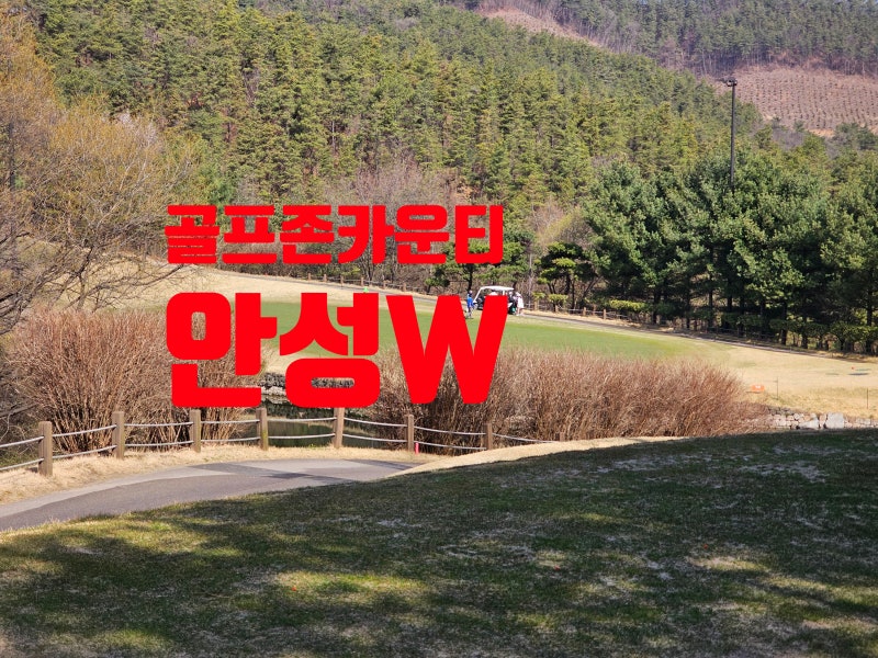 골프존 카운티 안성W 라운딩후기