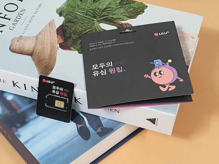 모두의 원칩 파는 곳 확인 및 선불폰 개통하기 모두의 원칩 파는 곳 확인 및 선불폰 개통하기