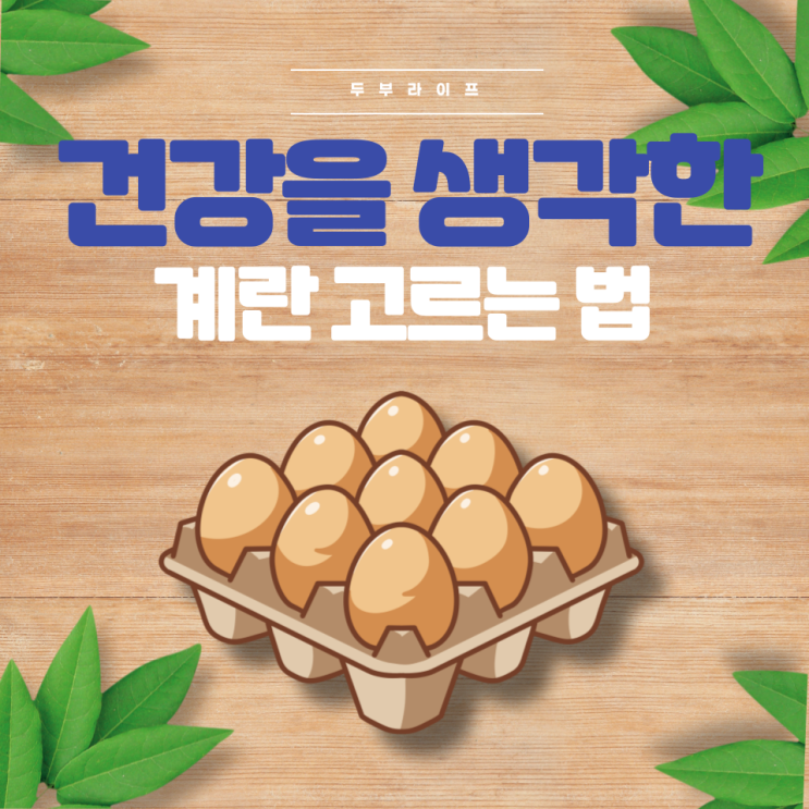 건강을 생각한 계란 고르는 법(동물복지, 무항생제, 호르몬제, 사육환경번호, 난각번호, 특란, 자유란, 유정란, 무정란)