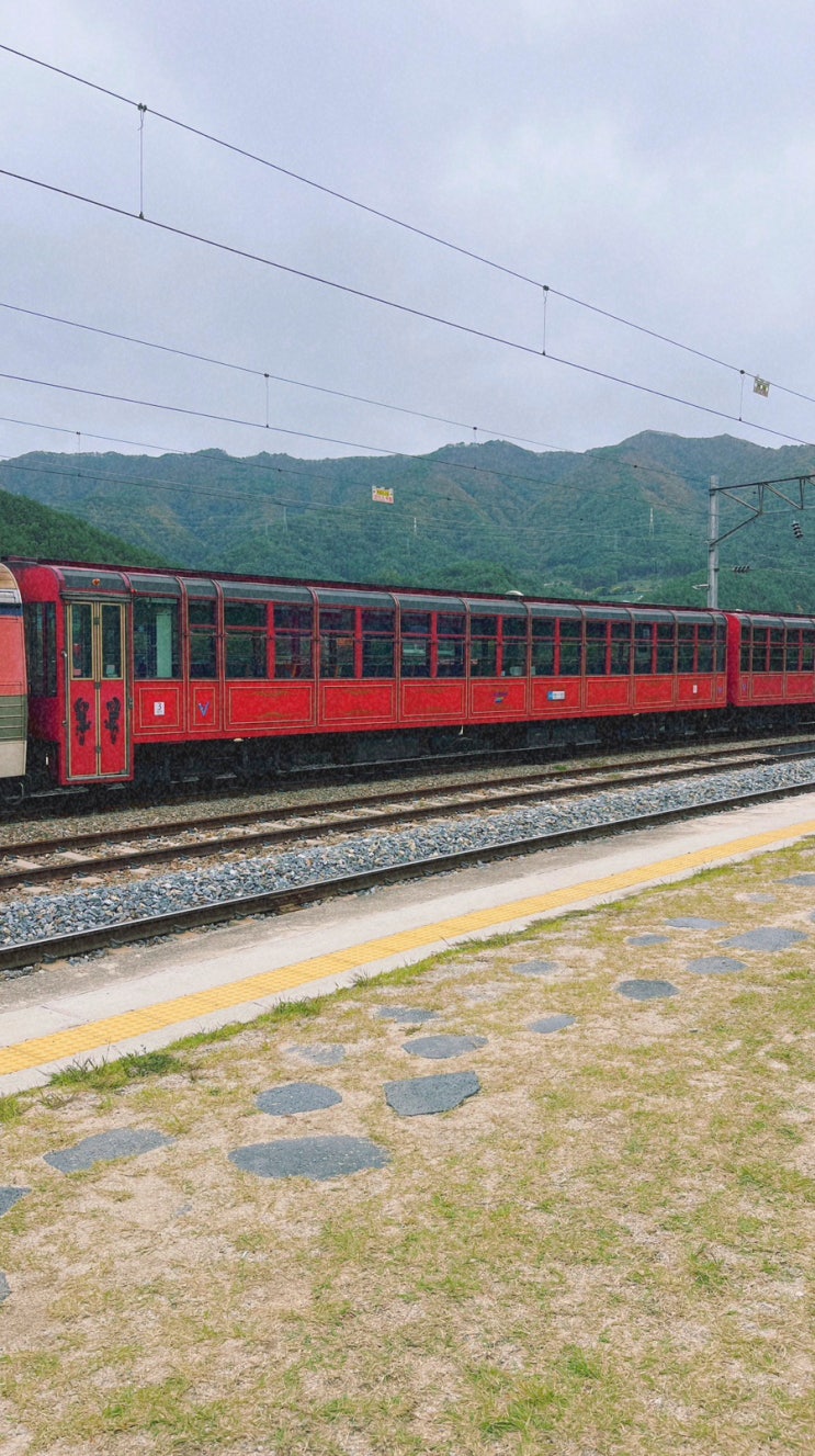  안동찍고 영주, 분천5편 : 협곡열차 타고 산타마을(V-train)