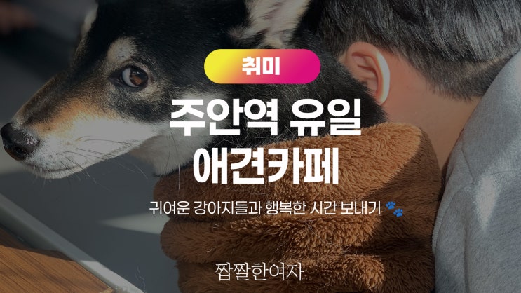  인천 미추홀 주안역 유일 애견카페 댕댕이카페