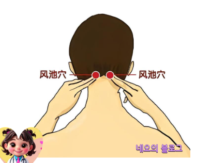 풍지혈 위치 효능 경락 지압 통증 파악해요! : 네이버 블로그