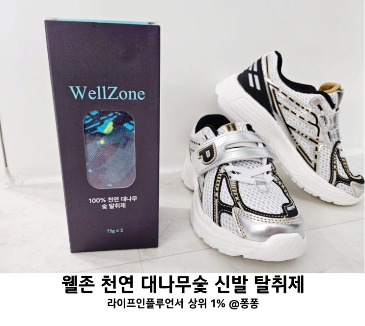  신발 냄새제거 방법 웰존 대나무숯 신발탈취제 옷장 냄새제거제 신발장 차량용 탈취제 추천