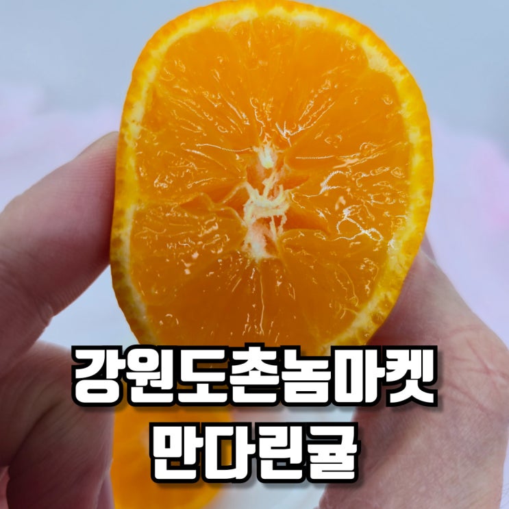  새콤달콤, 강원도촌놈마켓 만다린귤로 즐기는 겨울 간식 시간